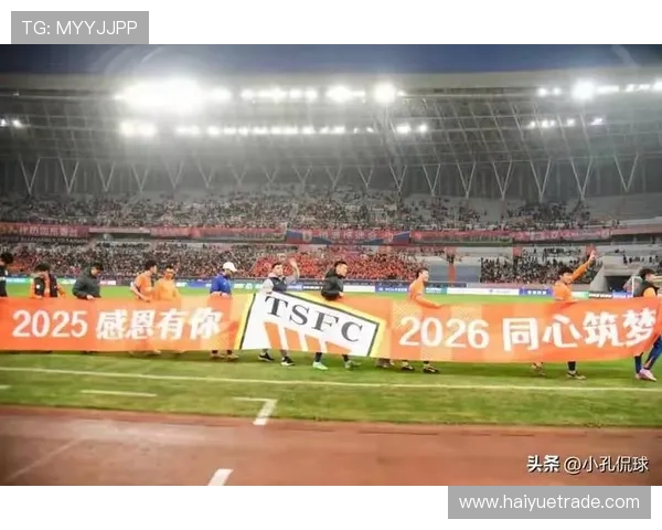 11月22日下午三点半武汉三镇迎战山东泰山精彩对决即将上演